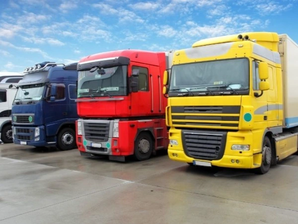 İstanbul Dernekpazarı Nakliye